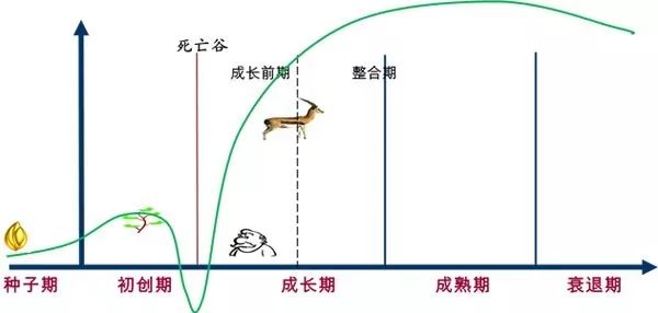 澳门王中王100,精细解读解析_X45.963