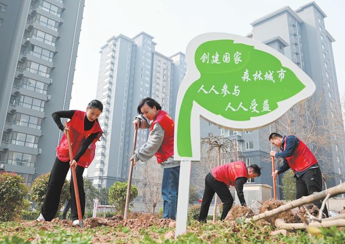 复兴街道最新动态揭秘，探索城市发展前沿新闻