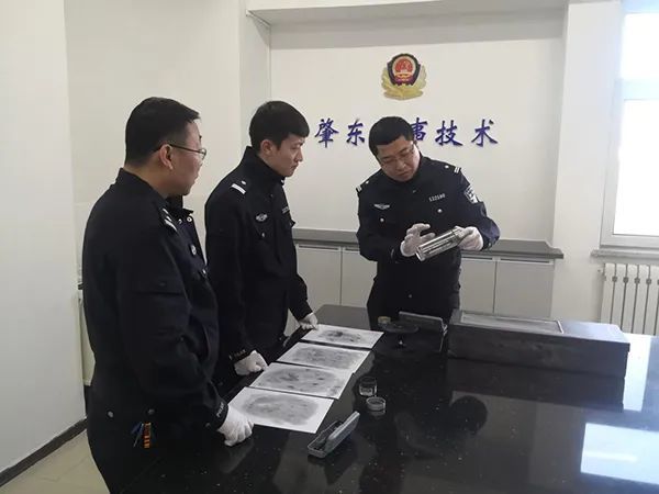 东辽县公安局发展规划，构建现代化警务体系，提升社会治安水平