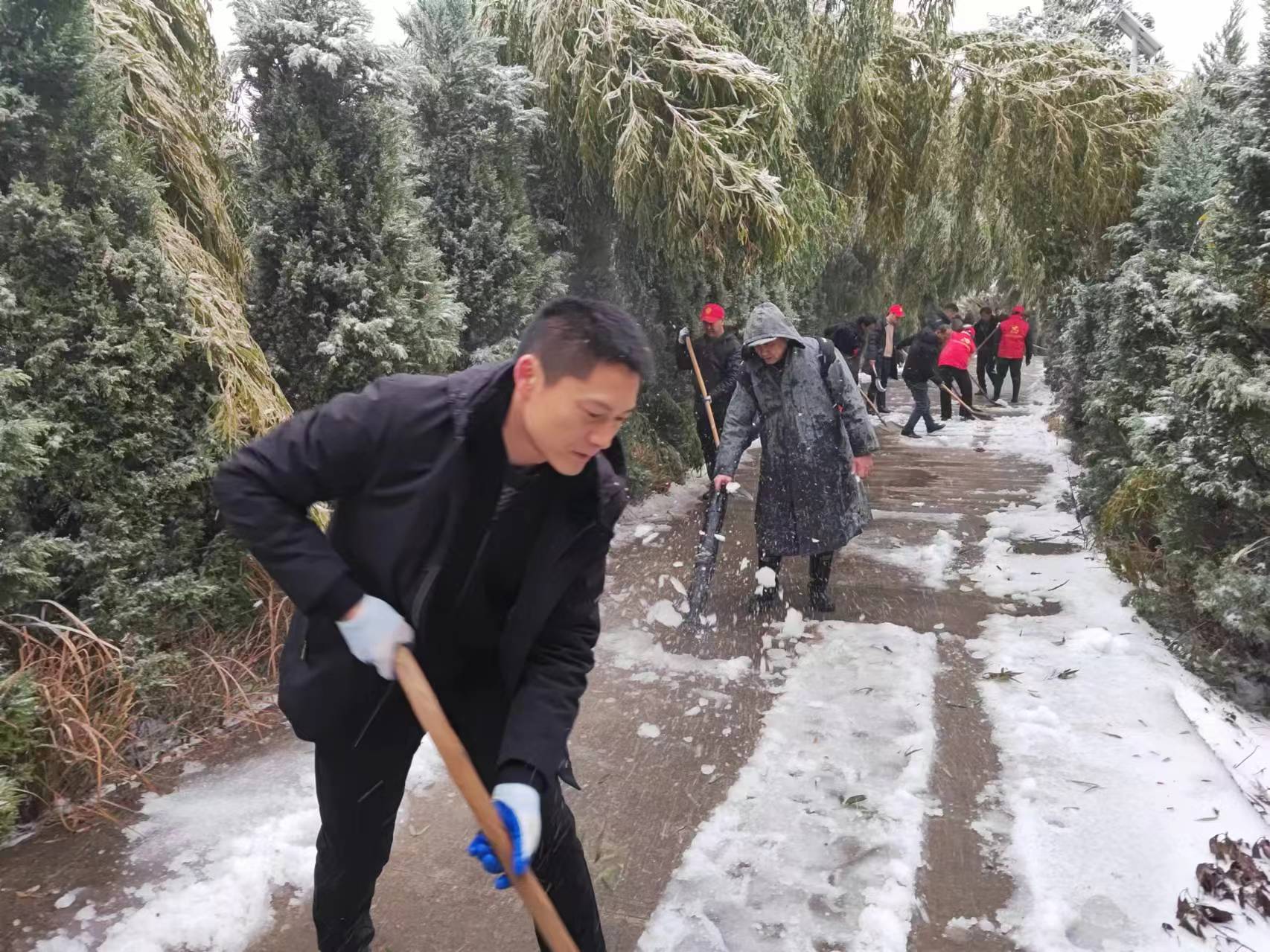 北浴乡交通建设突飞猛进，出行更加便捷——最新交通新闻速递